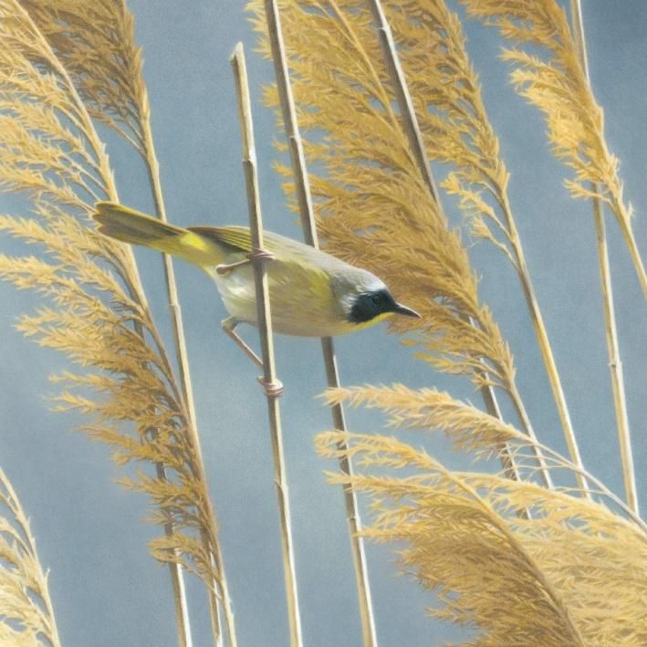 Museums & Galleries Karnet kwadrat z kopertą - Lightswept Common