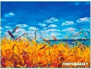 Teczka kopertowa PP A7 Niebo