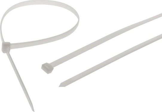 Bradas BRADAS Taśma kablowa 25 x 160mm Neutral 100szt TS1125160N uniwersalny