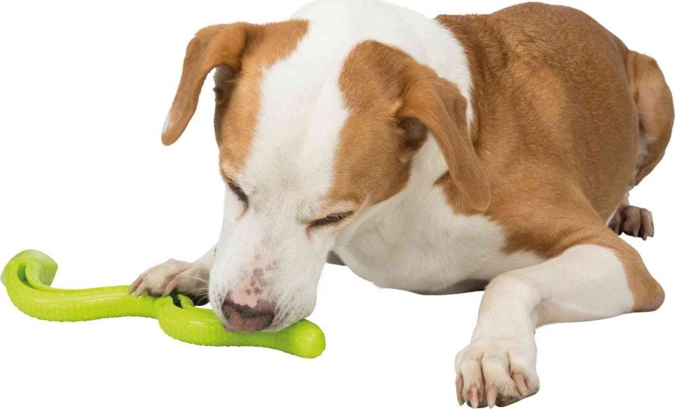 Trixie Wąż zabawka psa na przysmaki smakołyki Trixie 42cm uniwersalny