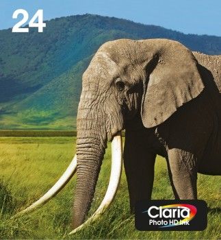 Tusz Epson Tusze Multipack 6-pack CMYK, Light Magenta, Light Cyan (C13T24284510)