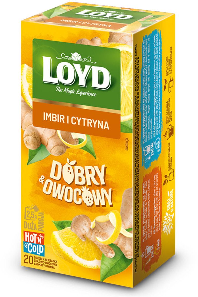 LOYD Herbata na ciepło i zimno imbir & cytryna 20x2,5g