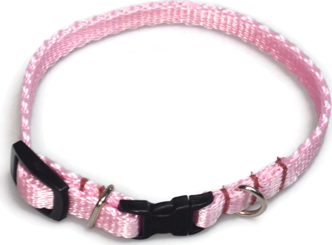 Alizoo Obroża dla psa 10mm/18-29cm - ALIZOO