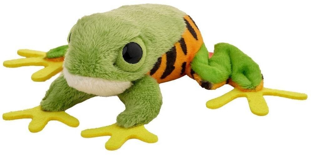 Żaba chwytnica moreleta 10cm