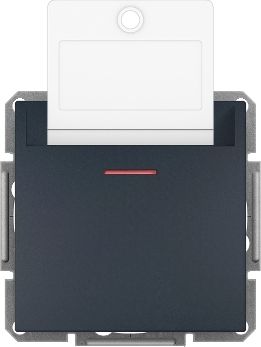 Schneider Electric Łącznik hotelowy Asfora mechaniczny bez ramki antracyt (EPH6200171)