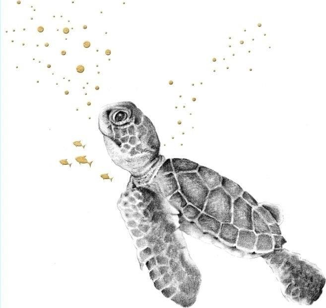 Karnet złocony kwadrat CL3823_BL Pływający żółw