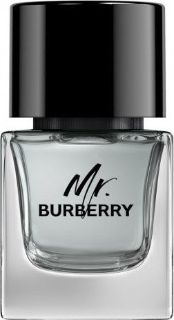 Burberry BURBERRY Mr. Burberry EDT spray 50ml