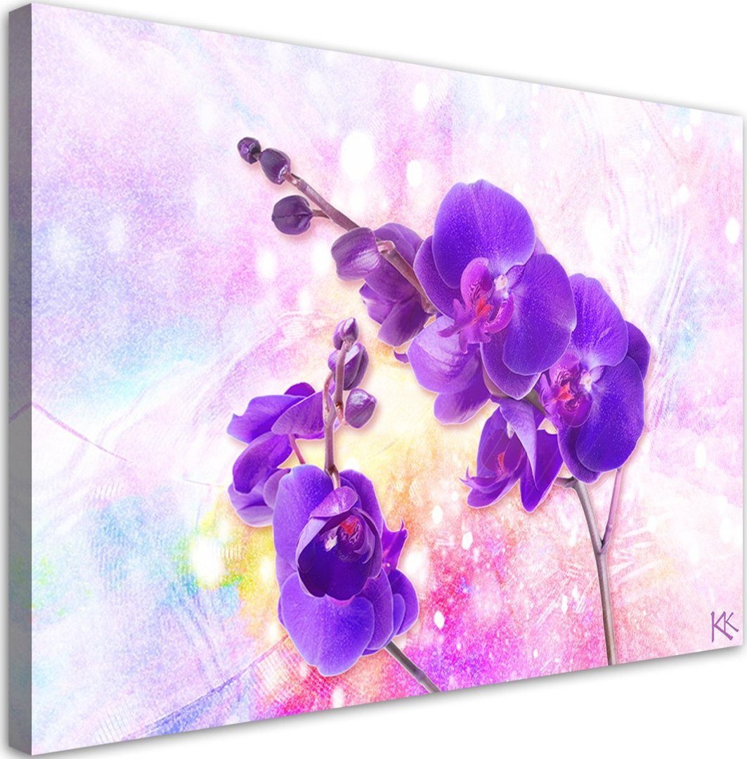 Feeby Obraz na płótnie, Fioletowy kwiat orchidei - 120x80