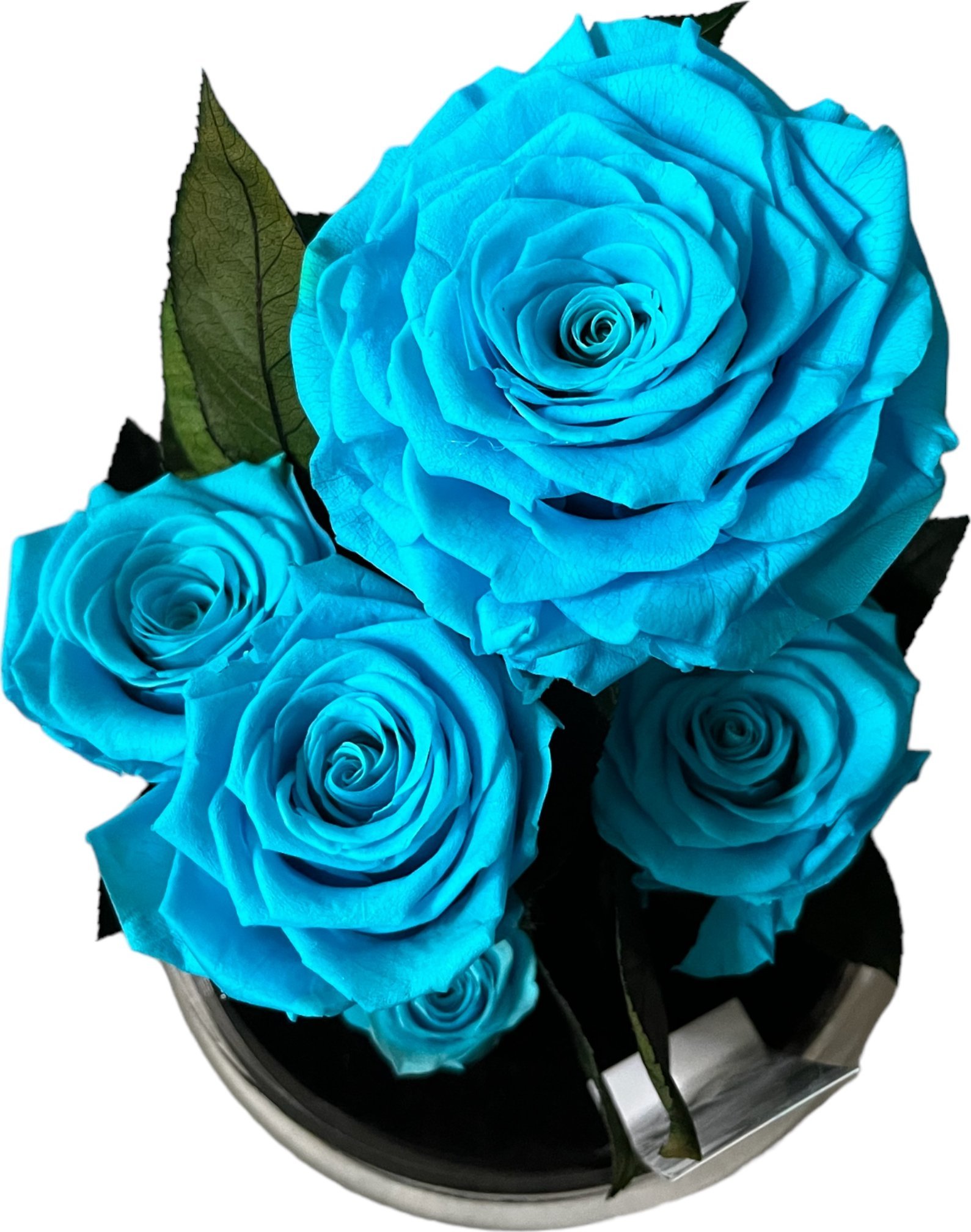 ToPrezent.pl Ogród w Szkle - 5 Zakonserwowanych Niebieskich Róż