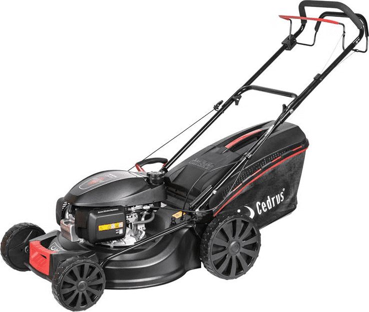 Kosiarka spalinowa Cedrus KS53H