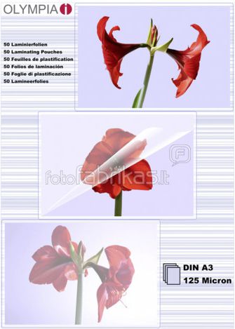 Olympia woreczki do laminacji DIN A3 125 micron (9175)