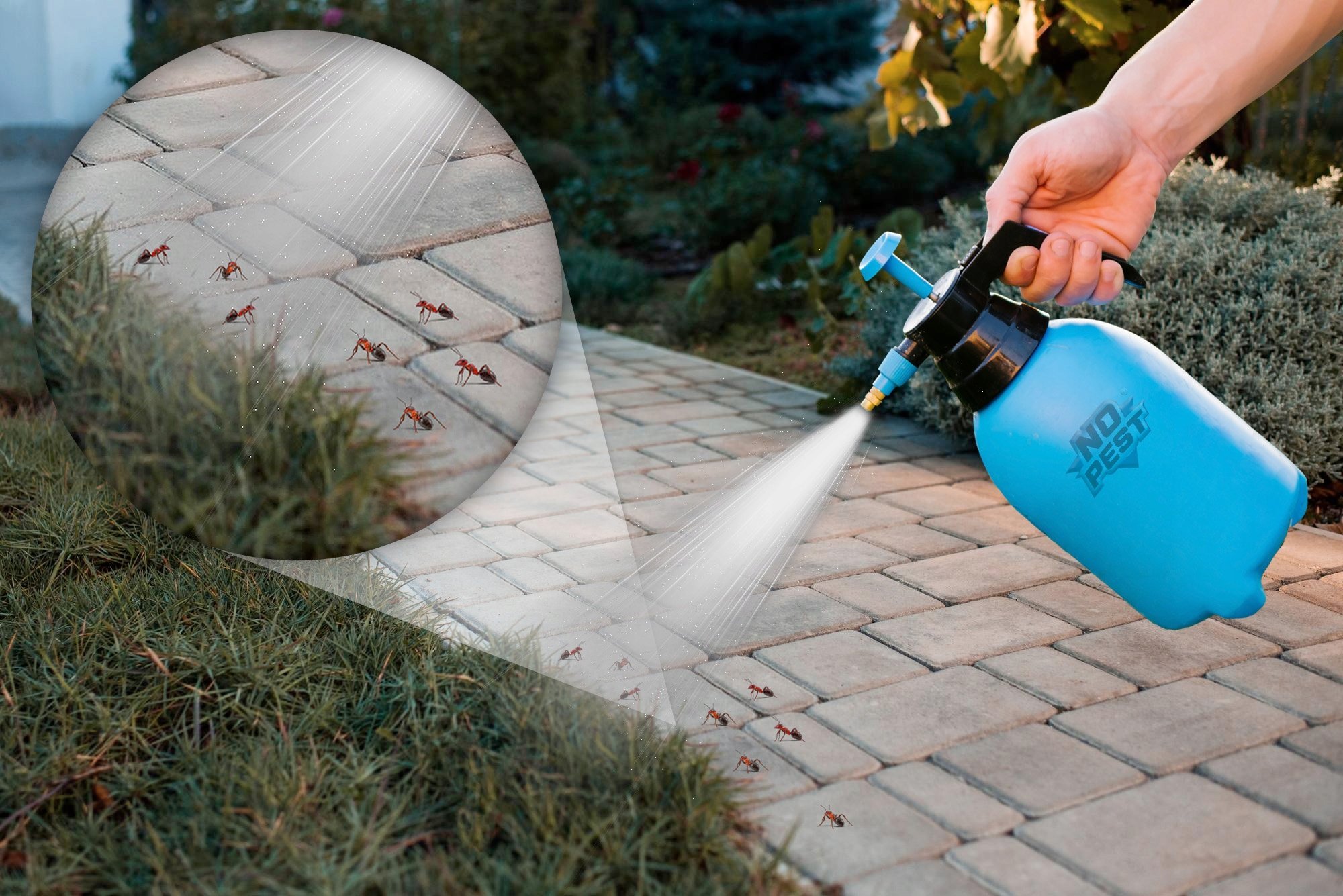 NO PEST Oprysk na Mrówki 50ml Preparat Koncentrat Płyn Środek na Mrówki Gniazda Mrówek