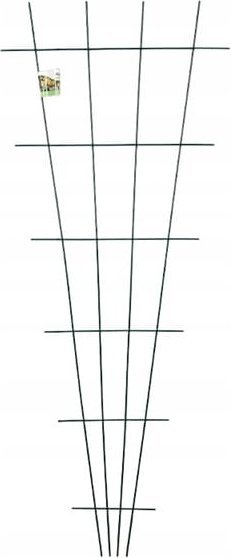 Podpora wachlarzowa do roślin pnących 150x60cm Stabilne wsparcie dla ogrodu