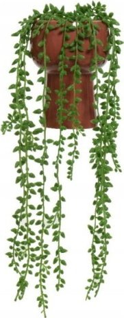 Kaemingk Roślina zielona wisząca sztuczna pnąca 11x11x15,5 cm