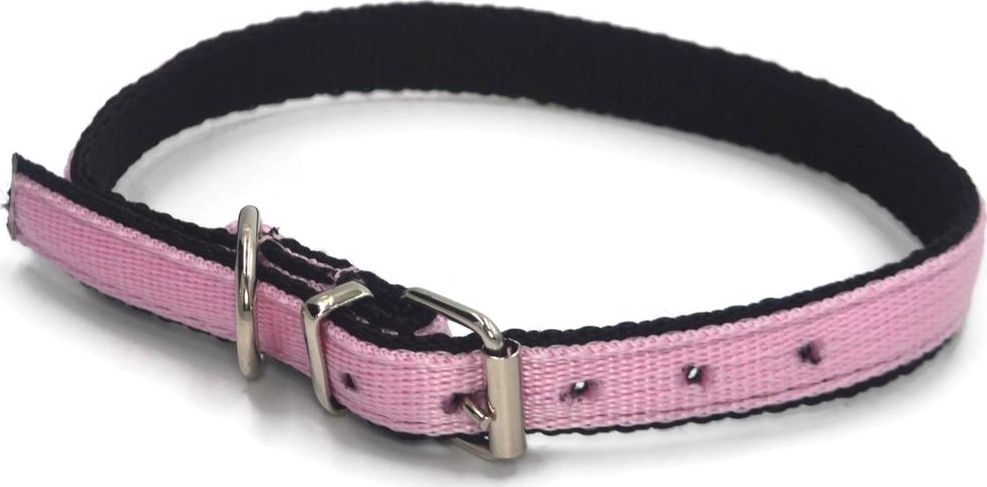 Alizoo Mocna podwójna obroża dla psa 20mm/40-48cm - ALIZOO