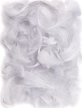 Dalprint Piórka Dpcraft 5-12 cm 10g szare