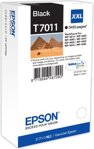 Tusz Epson tusz C13T70114010 / T7011 (black)