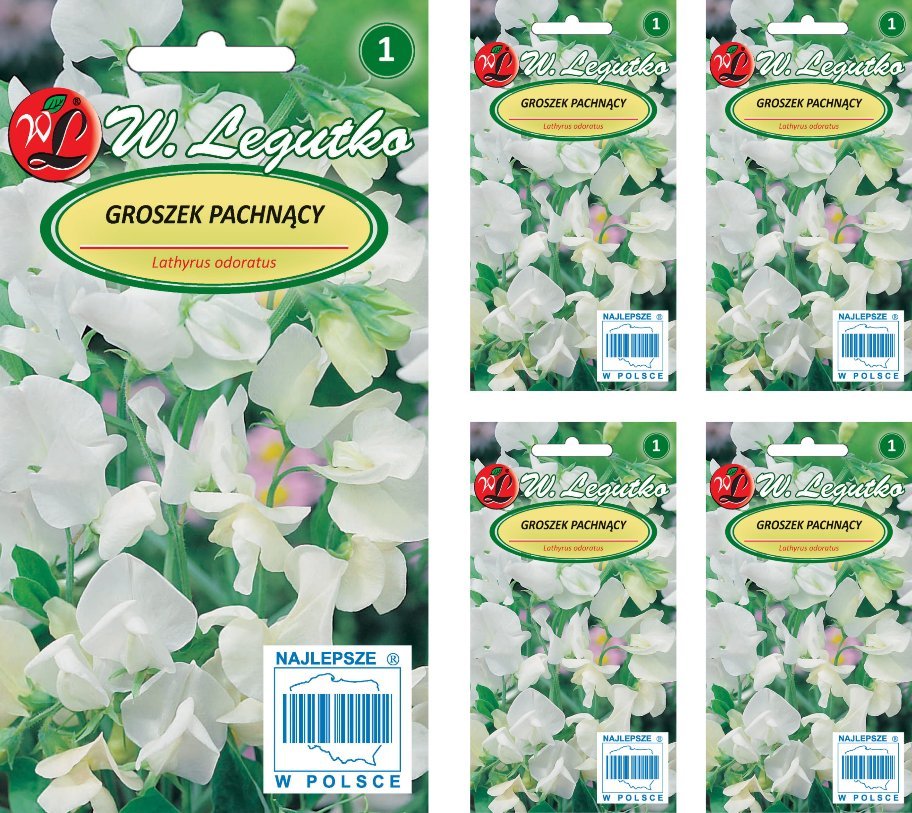 Legutko Groszek pachnący biały Nasiona 15g 5x3g