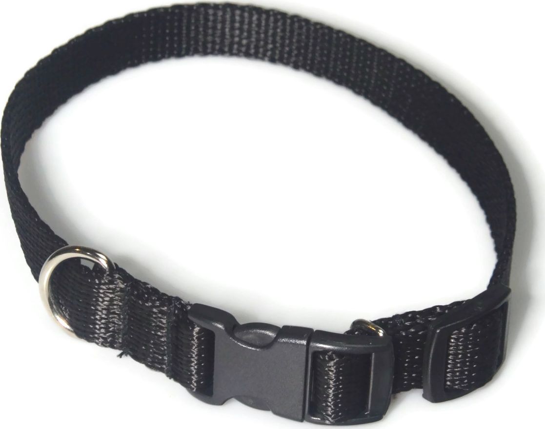 Alizoo Obroża dla średniego psa 16mm/24-42cm - ALIZOO