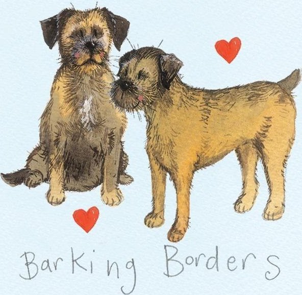 Magnes FM11 Border terrier