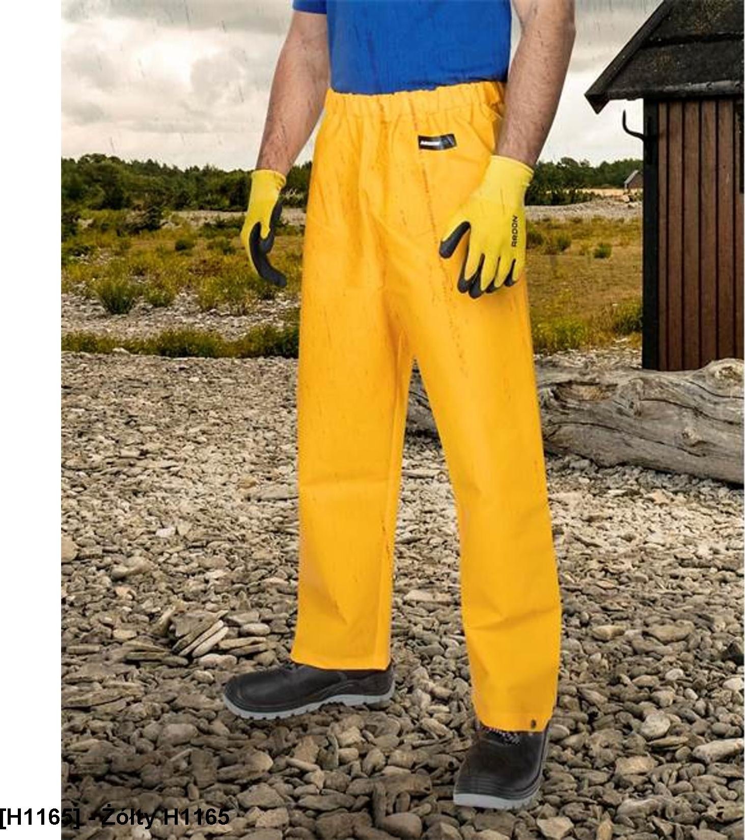 Ardon ARDON ARDON AQUA - spodnie do pasa - Żółty H1165 M