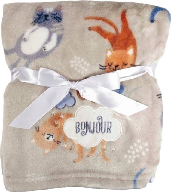 BabyMatex Kocyk 75 x 100 Mikrofibra z Haftem Ricco RI6B