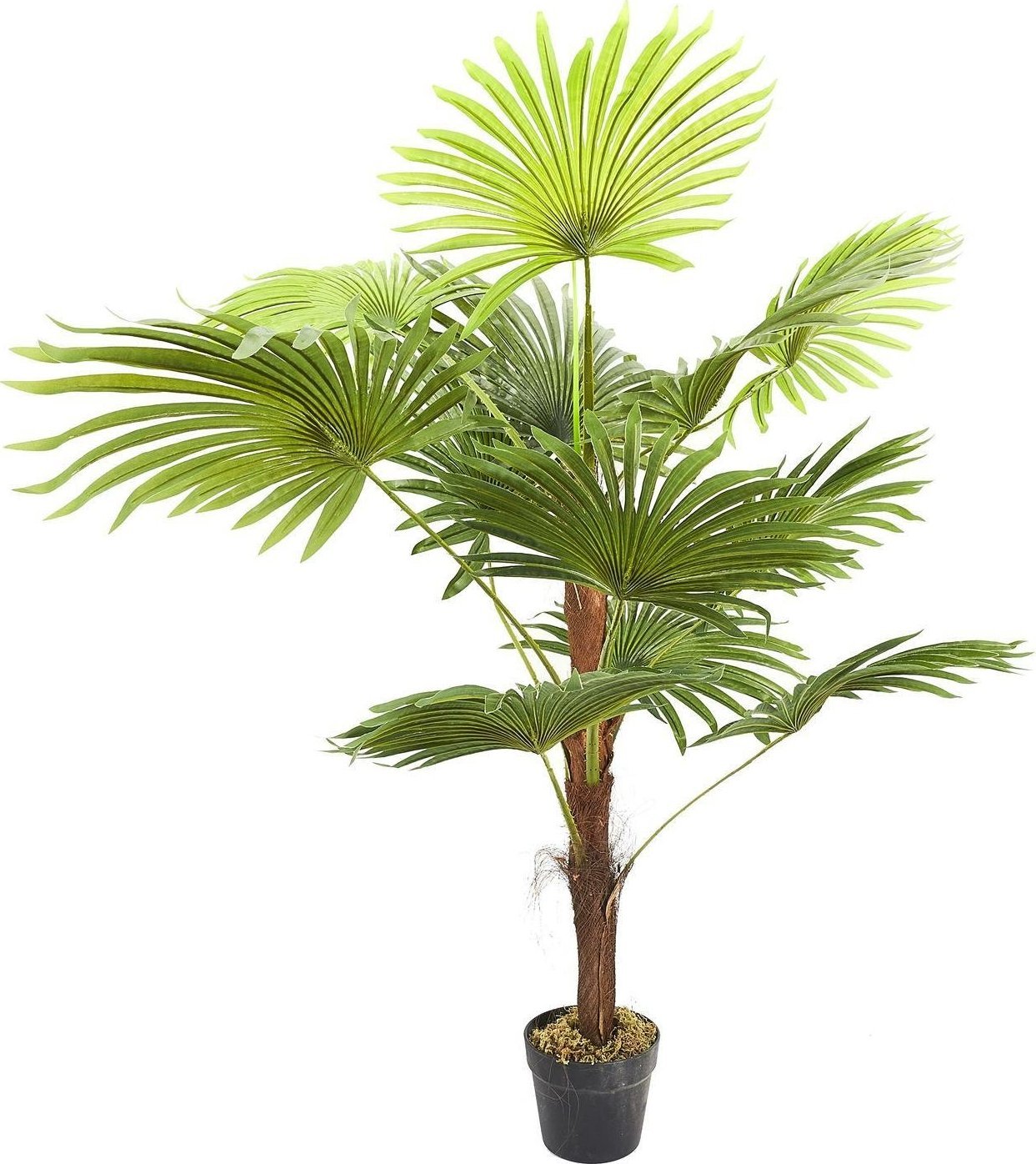 Intesi Sztuczna Palma Liwistonia 135cm