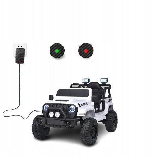 Ładowarka 12V 2000mA Do Auta na Akumulator z diodą LED Zasilacz adapter