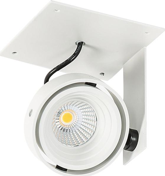 Lampa sufitowa Italux Patrizio Single 4000K GL7118-1/1X12W 4000K WH+BL