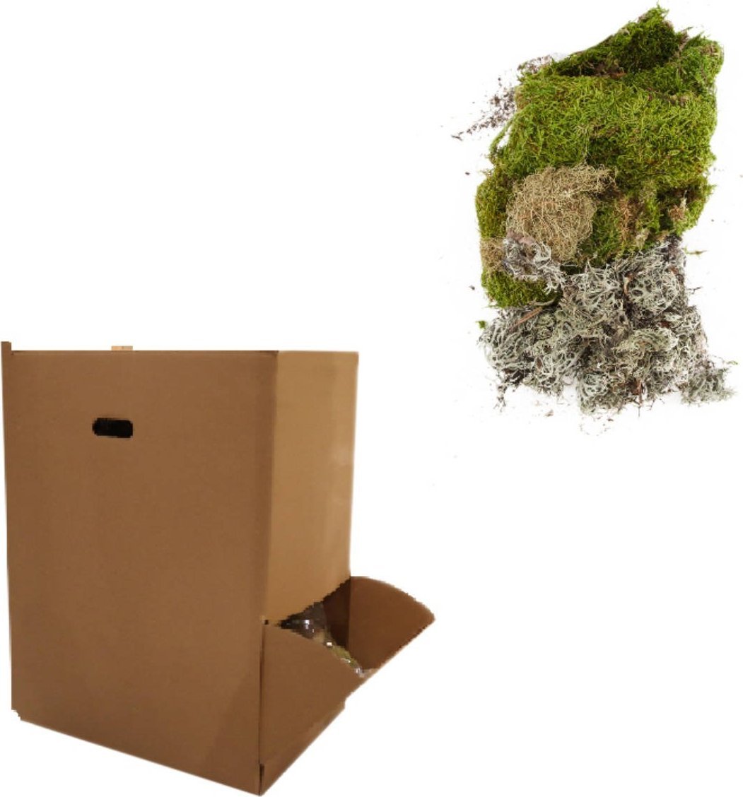 Dekoracja świąteczna Tajemniczy ogród Naturalny mech, 100 g