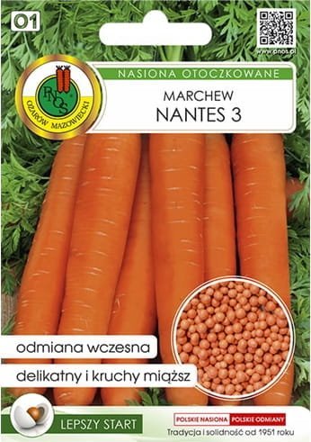 Marchew Nantes 3 300 nasion średnio wczesna odmiana