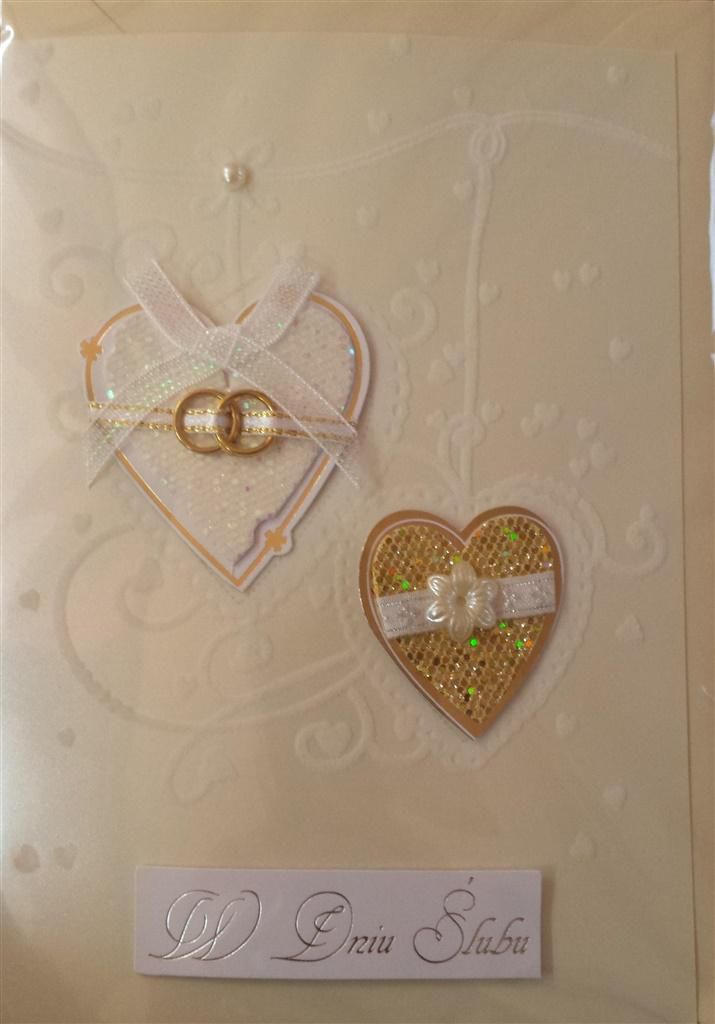 Panorama Karnet ślubny B6 Premium 6 + koperta (233398)