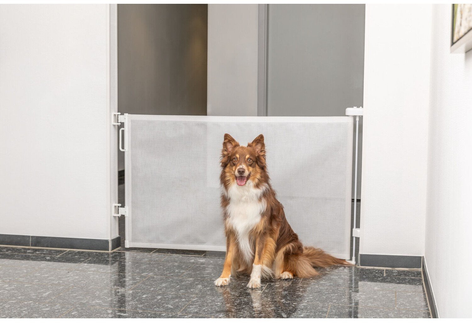 Barierka na rolce, zwijana, dla psa, 0�137 � 86 cm