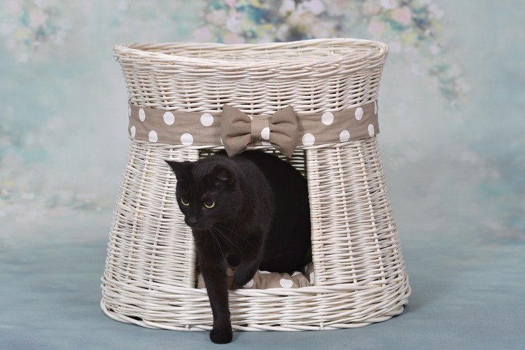 WickerPL CARI BUDA DLA KOTA LEŻAK DLA ZWIERZĄT DOMEK DLA KOTA Z WIKLINY PIĘTROWY Z PODUSZKAMI 50X40 H45 CM