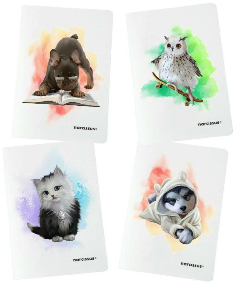 Zeszyt A4/32K linia kolor PP Joy (4szt) NARCISSUS EDUKAMP