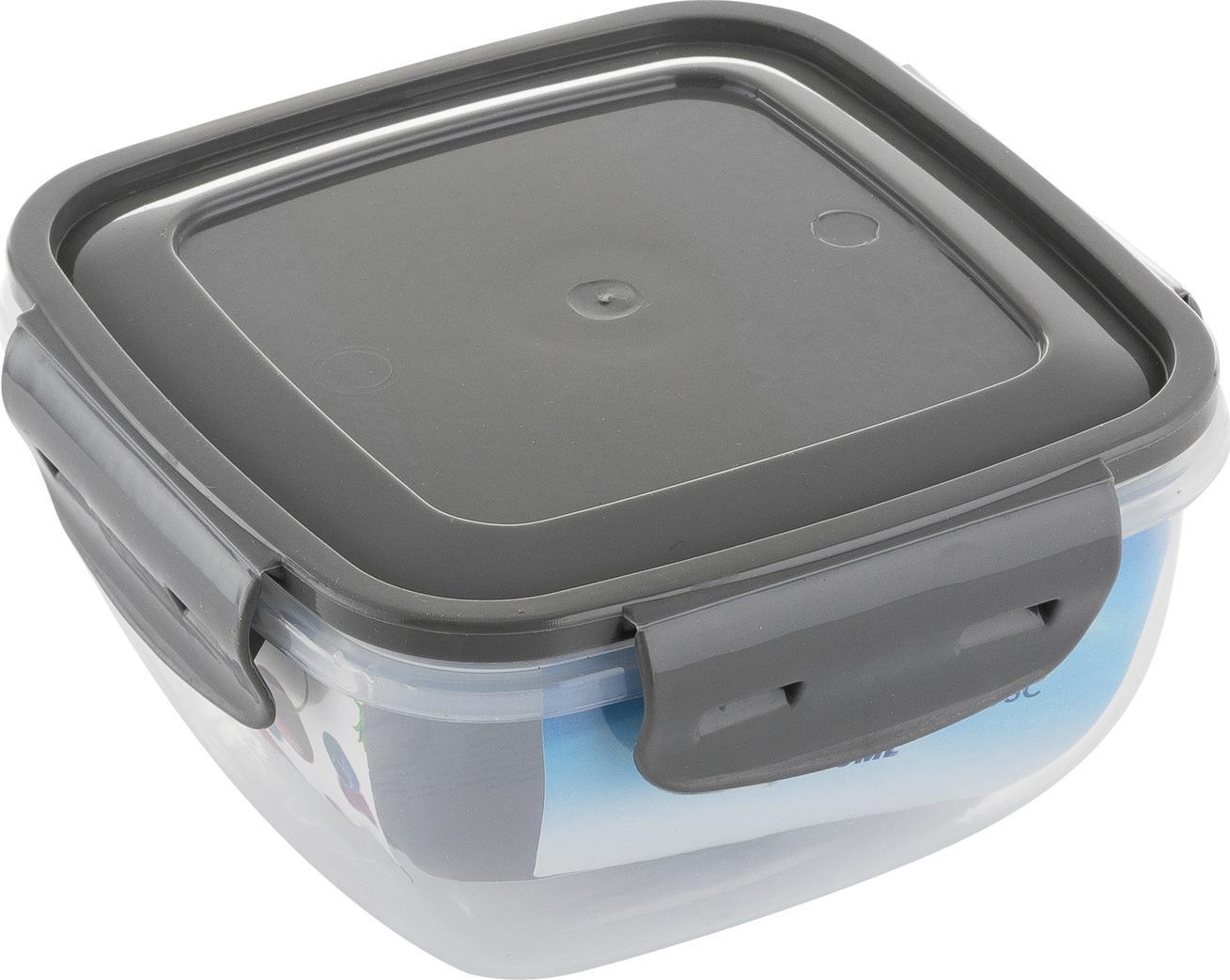 Florina Pojemnik do żywności Praktyczna 500 ml szary