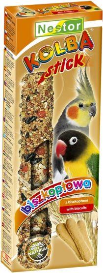 Nestor KOLBA PAPUGA ŚREDNIA BISZKOPT