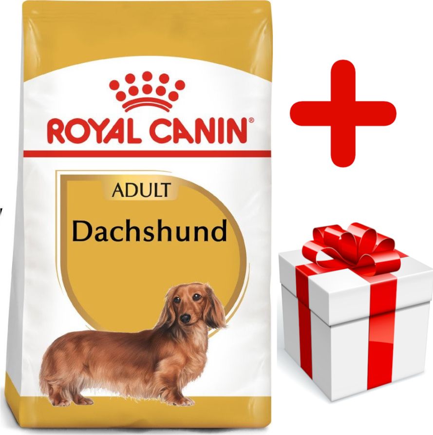 Royal Canin ROYAL CANIN Dachshund 7,5kg karma sucha dla psów dorosłych rasy jamnik + niespodzianka dla psa GRATIS!
