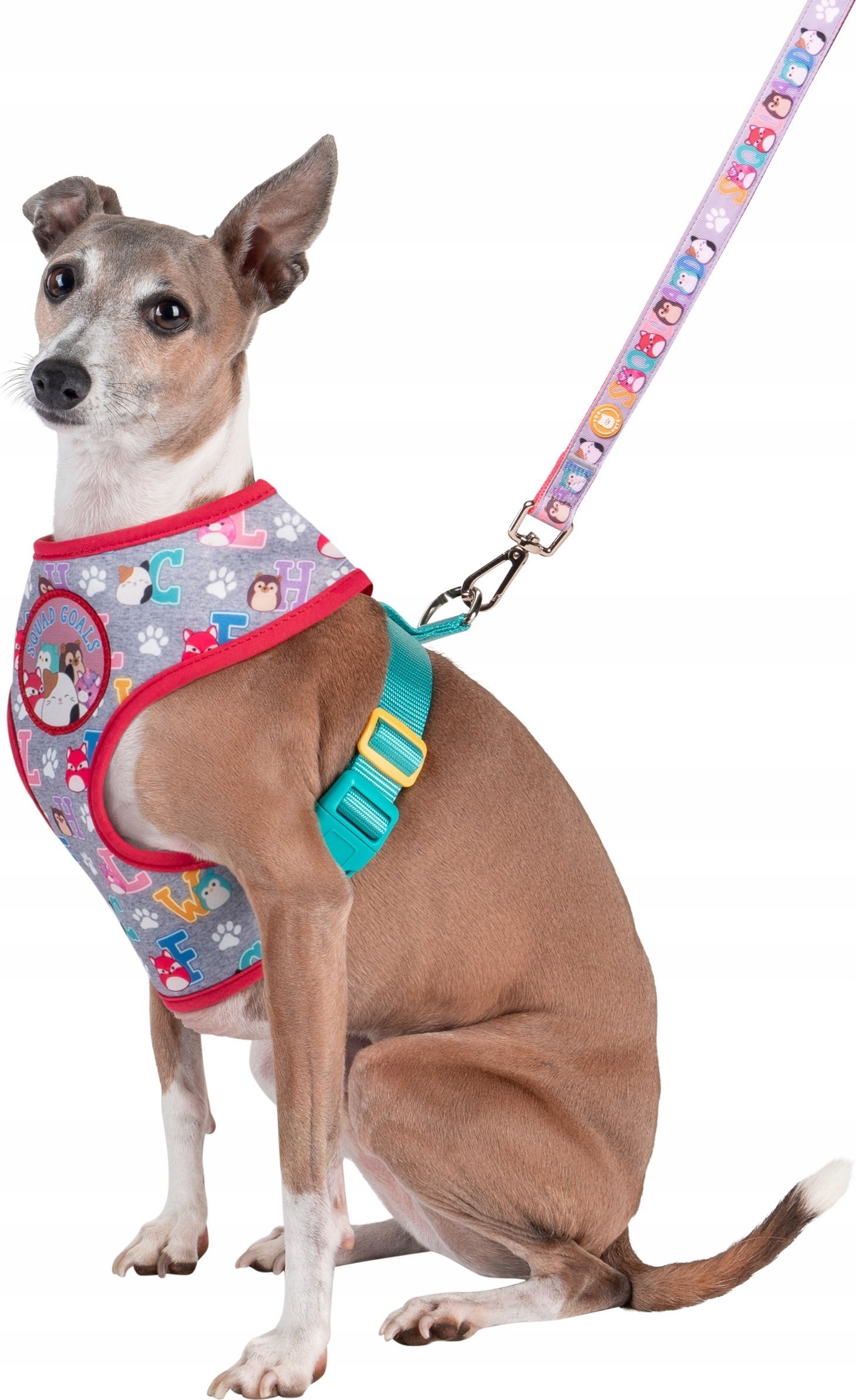 JAS PETS SZELKI DLA PSA S