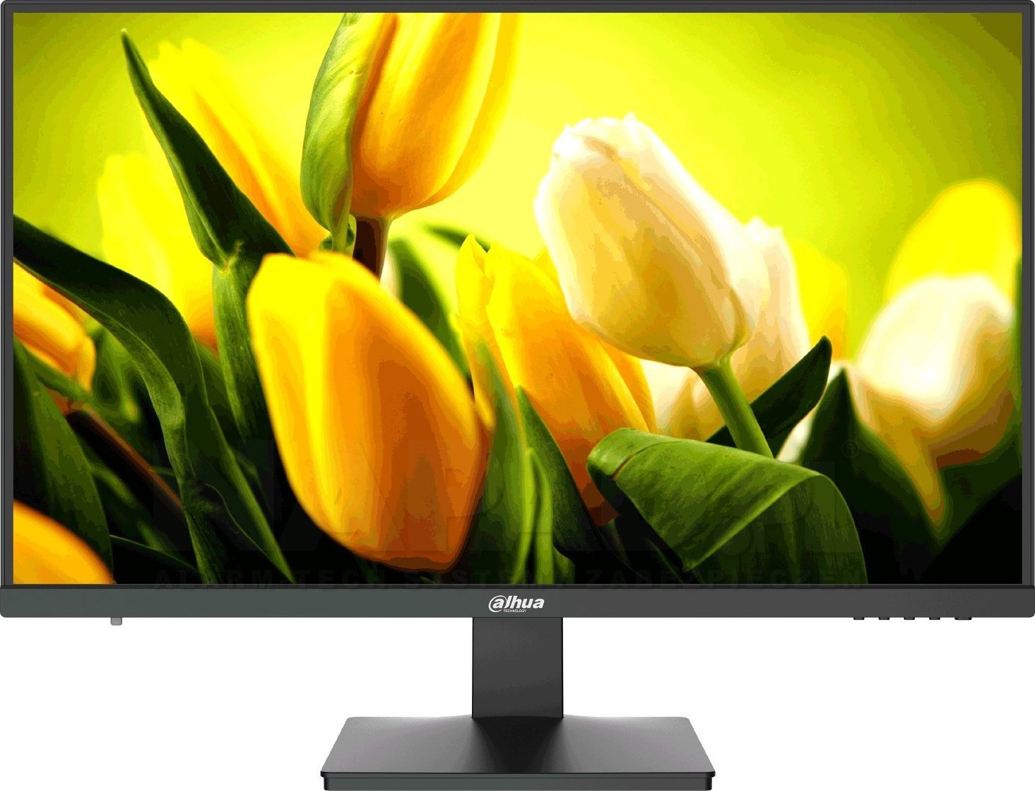 Monitor Dahua Technology LM27-L200