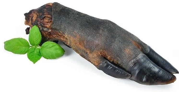 ARAMI C RACICA DZIKA 1szt.