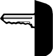 Schneider Klucz nr 405 do obudów CRN i CRNG (NSYCL405CRN)