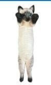Kot stojący syjamski 55cm