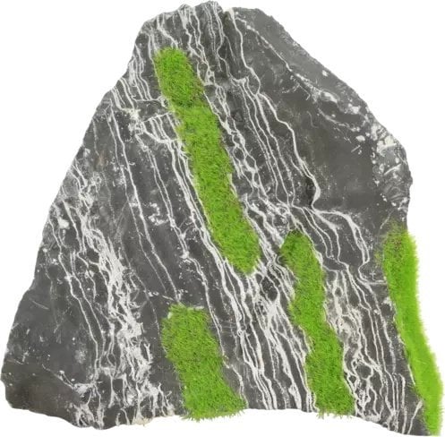 Zolux Zolux Ozdoba do akwarium dwukolorowy kamień KIPOUSS M z nasionami