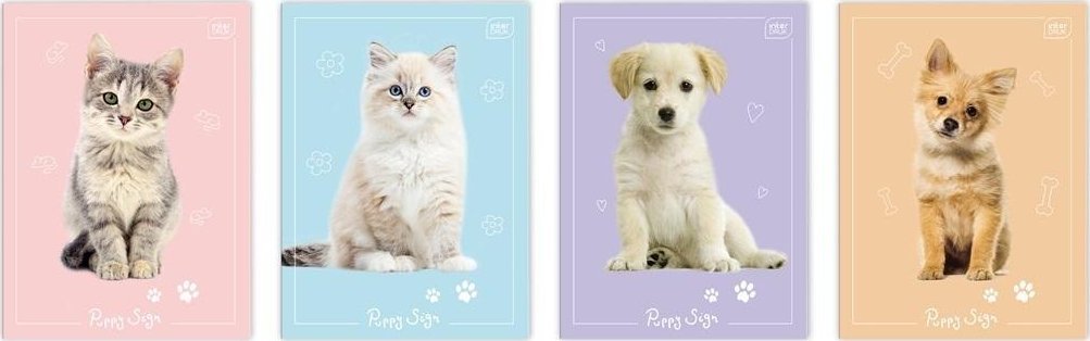 Zeszyt do słówek A6/32K Puppy Sign (10szt)