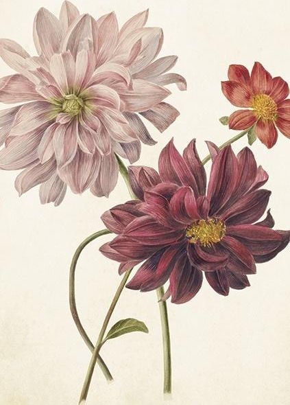 Skona Ting Karnet ST386 B6 + koperta Dalia