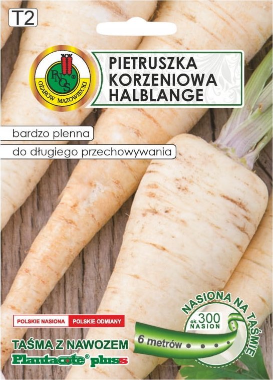 Pietruszka Halblange taśma 6m Późna odmiana o wysokiej plenności