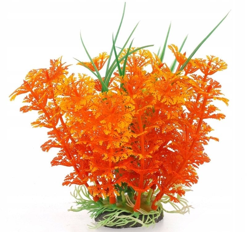 Terra Natura Aqua Natura, roślina, do dekoracji akwarium, żwo pomarańczowa, plastikowa, 12 cm, wysoka