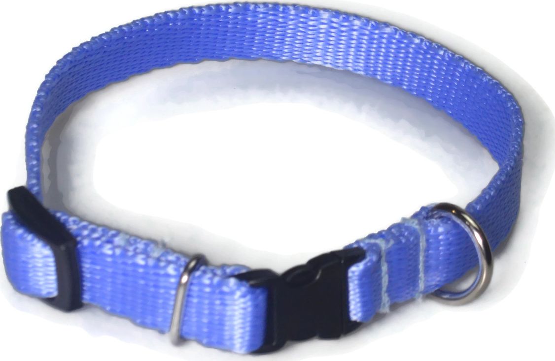 Alizoo Obroża dla małego psa 13mm/21-36cm - ALIZOO