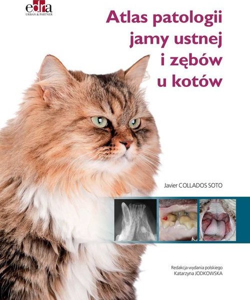 Edra Urban & Partner Atlas patologii jamy ustnej i zębów u kotów